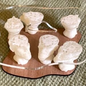 Heads of six men are cut off mid-brain to let the flat tops serve as supports for a tiny modernist coffee table.