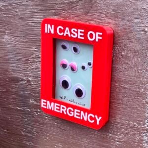 Red box labeled "In case of emergency", containing a card of googly eyes.