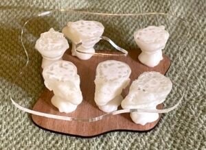 Heads of six men are cut off mid-brain to let the flat tops serve as supports for a tiny modernist coffee table.