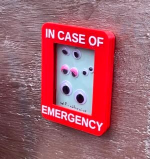 Red box labeled "In case of emergency", containing a card of googly eyes.