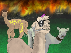 After the Alpacalypse