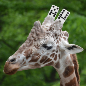 Giraffe with dominos in place of horns