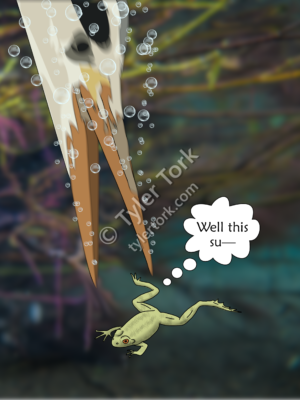 Frog about to be eaten by a large white bird