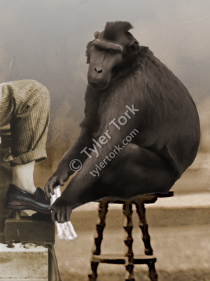 A shoeshine monkey