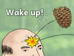 Wake up! Bald guy being alerted to pay attention by having a pine cone thrown at him.