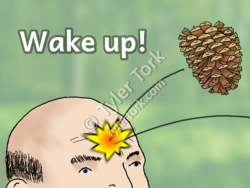 Wake up! Bald guy being alerted to pay attention by having a pine cone thrown at him.