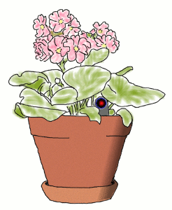 camera in potted plant