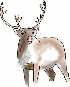 Rudolph, a bit grown up