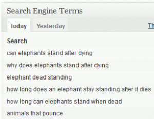 Most popular searches that lead people to my blog.
