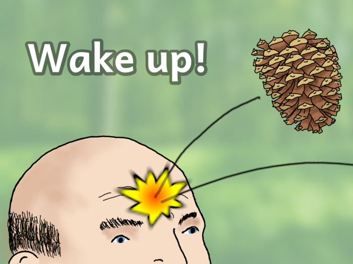 "Wake up!" magnet